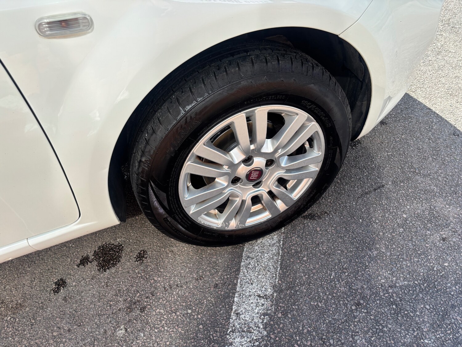 Used Fiat Punto 2015 for sale - 78150585: Photo 15