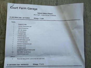 Used Ford Focus 2017 for sale - 77746247: Photo