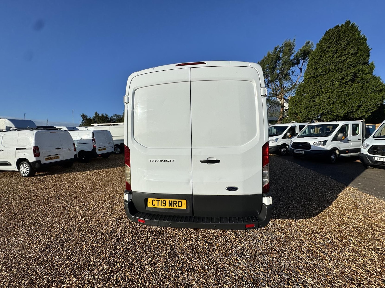 Used Ford Transit 2019 for sale - 77453761: Photo 7