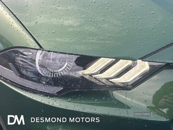 Used Ford Mustang 2023 for sale - 77883947: Photo 18