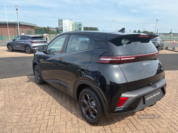 Used BYD Dolphin for sale - 75635799: Photo 4