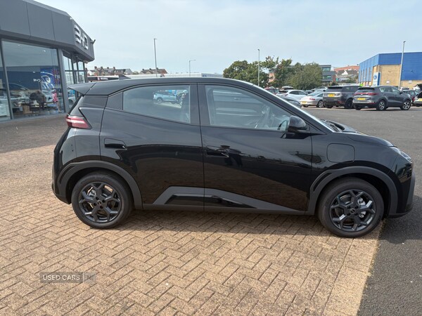 Used BYD Dolphin for sale - 75635799: Photo 6