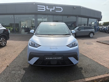Used BYD Dolphin 2025 for sale - 75636104: Photo