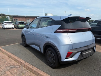Used BYD Dolphin 2025 for sale - 75636104: Photo