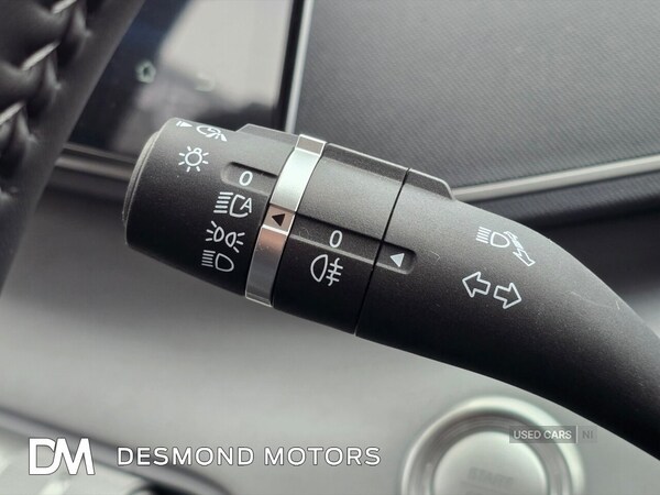 Used BYD Dolphin 2025 for sale - 76513680: Photo 35