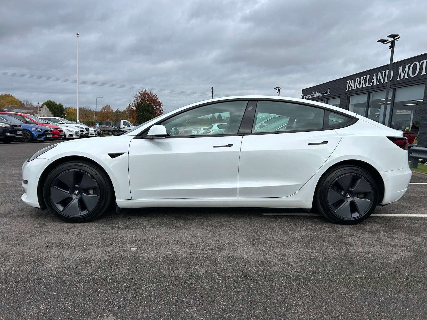 Used Tesla Model 3 2021 for sale - 76216603: Photo 5