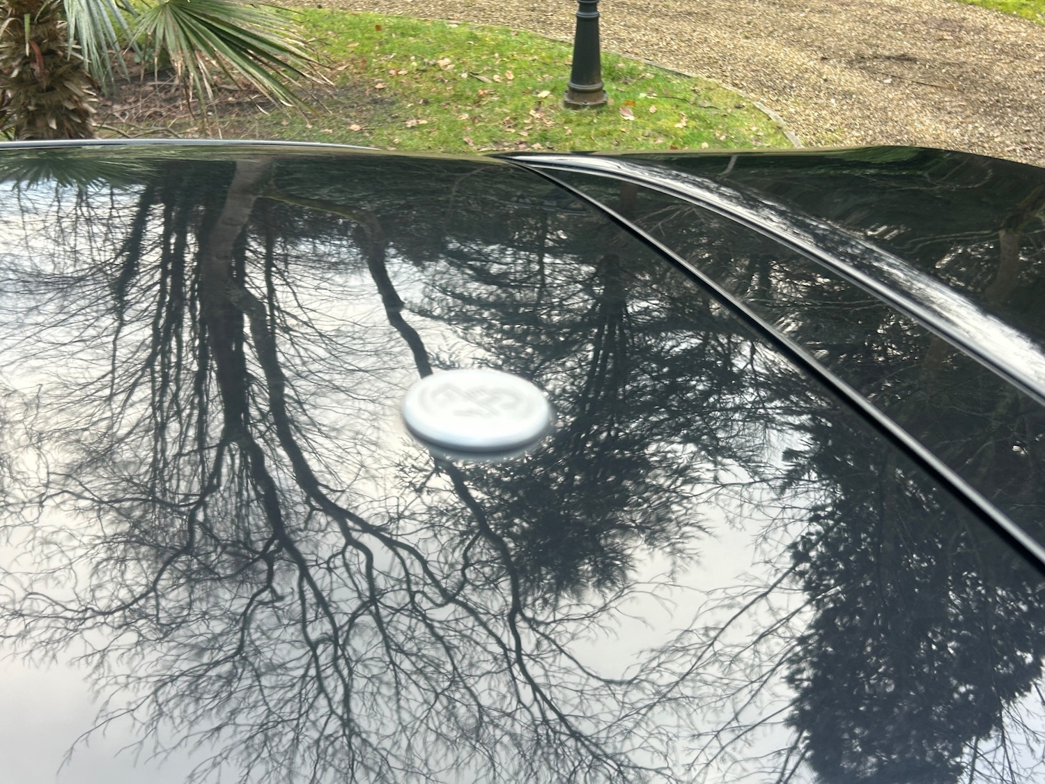 Used Abarth 595 for sale - 77894022: Photo 9