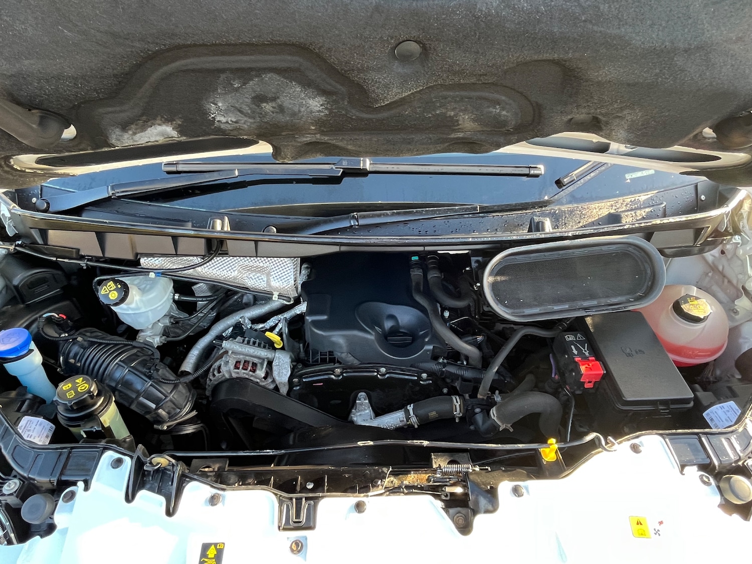 Used Ford Transit 2016 for sale - 77272668: Photo 15