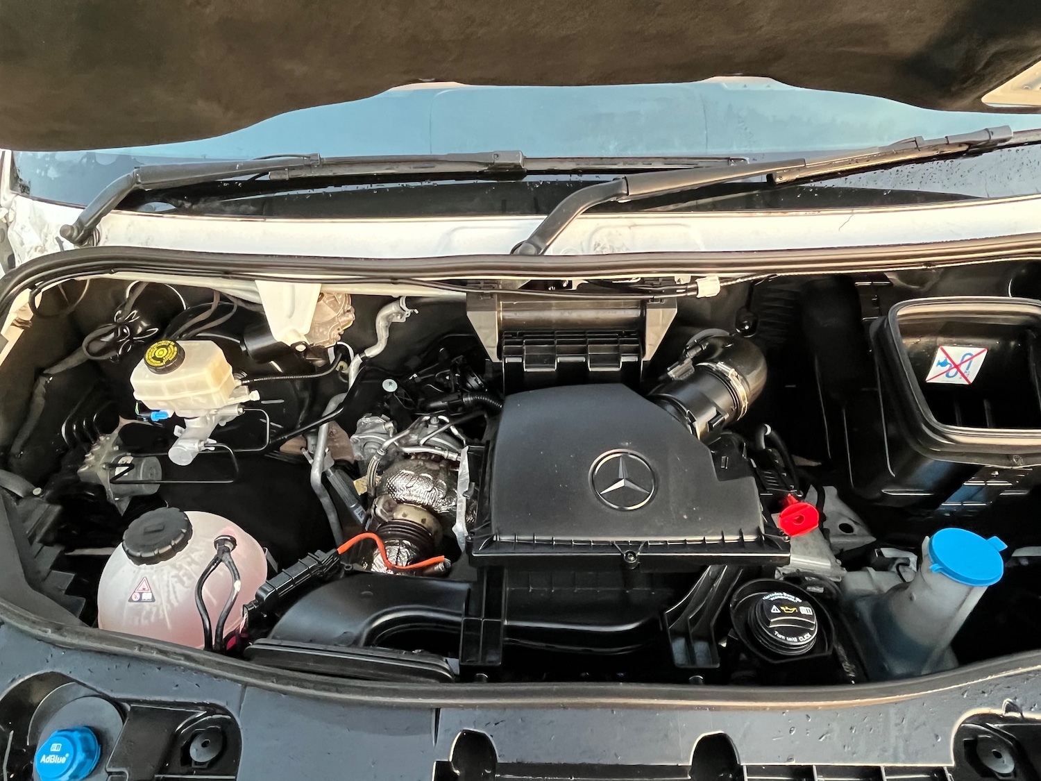 Used Mercedes-Benz Sprinter 2022 for sale - 77272663: Photo 19