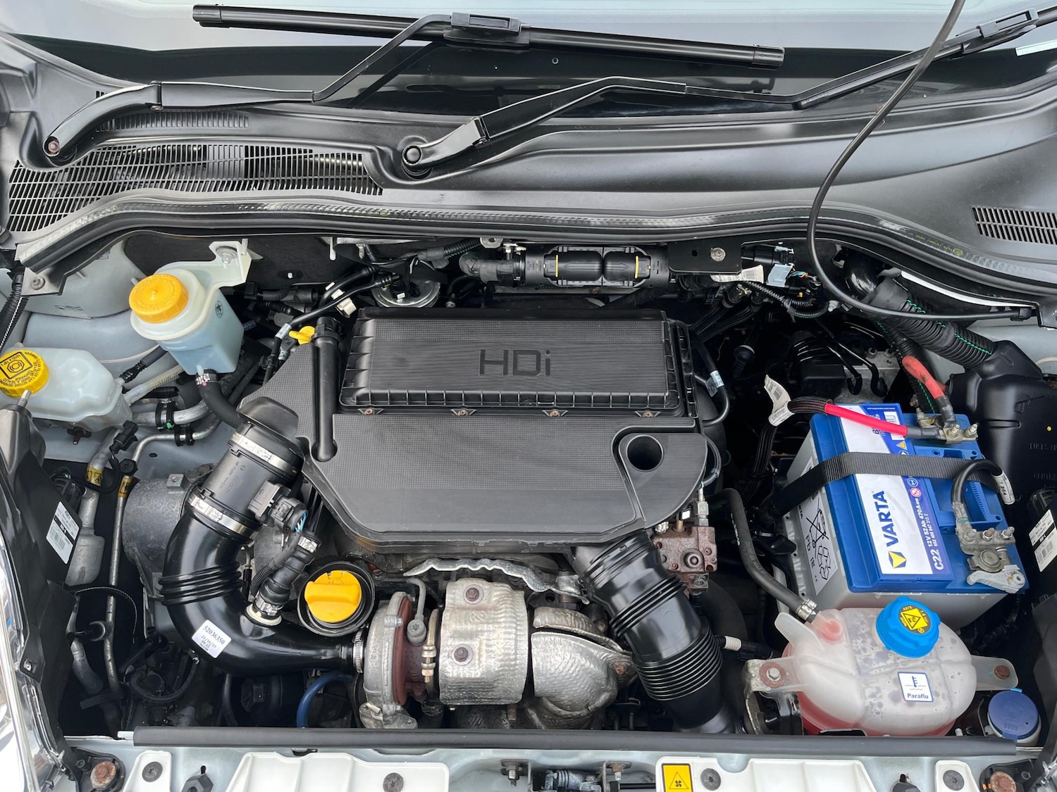 Used Citroen Nemo 2016 for sale - 77026609: Photo 15