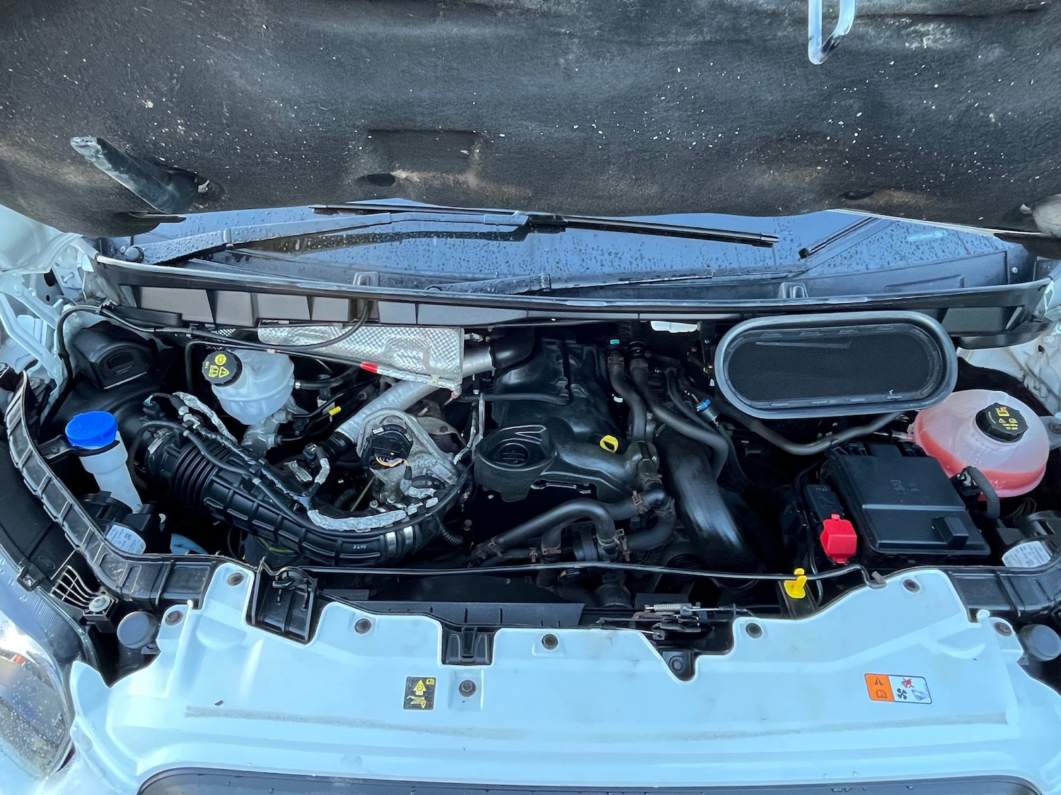 Used Ford Transit 2021 for sale - 77272658: Photo 16