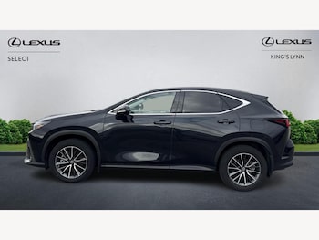 Used Lexus NX 2023 for sale - 76538613: Photo