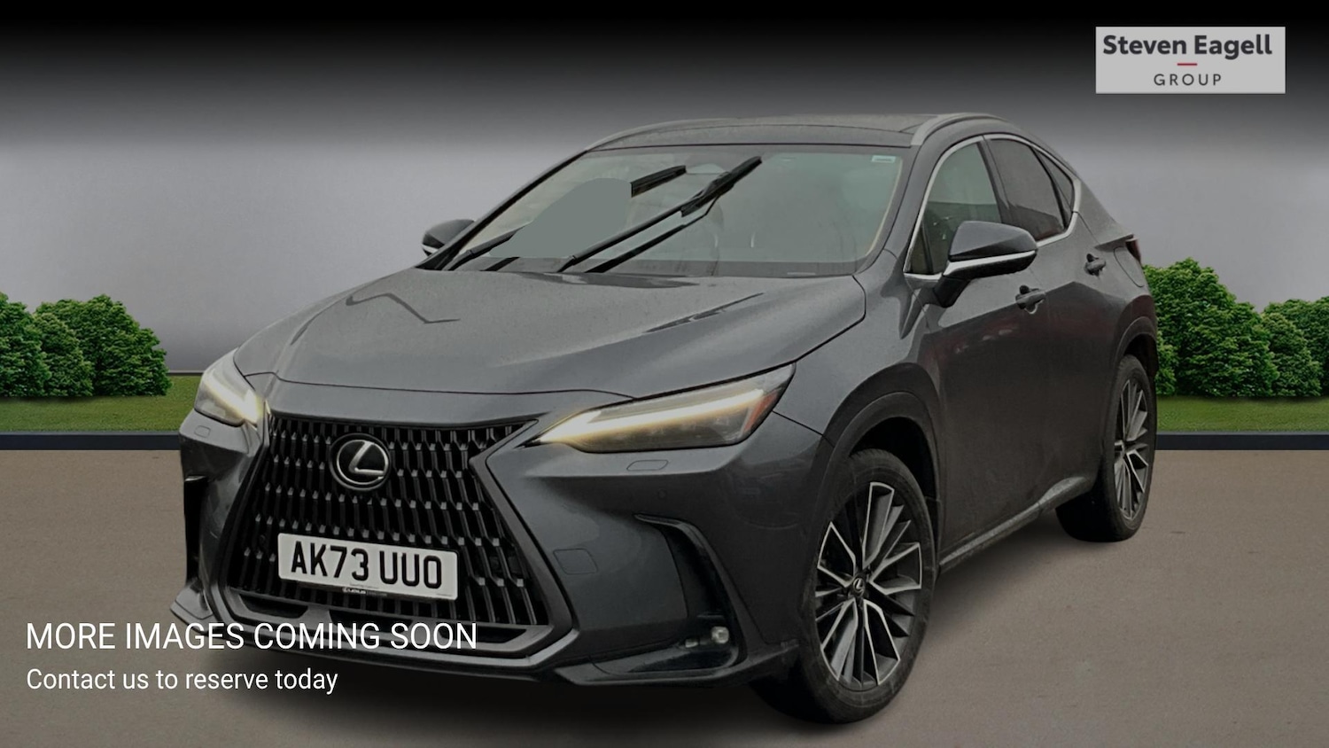 Used Lexus NX 2023 for sale - 77344686: Photo 3