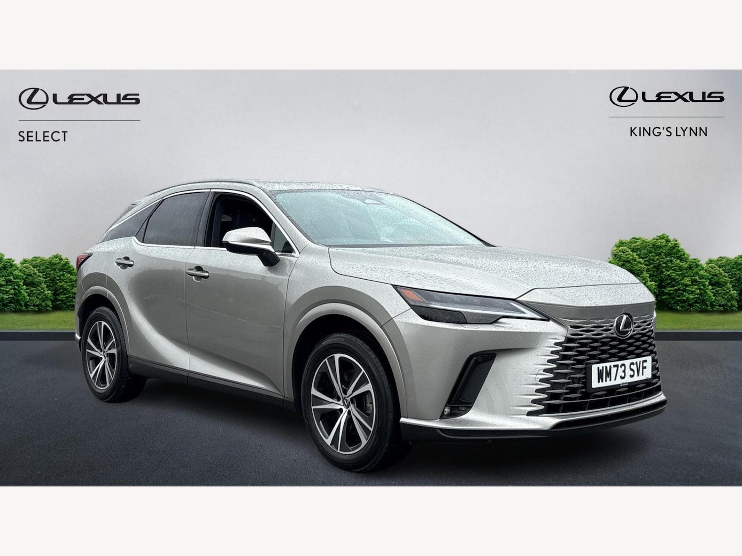 Used Lexus RX 2024 for sale - 76633236: Photo 1