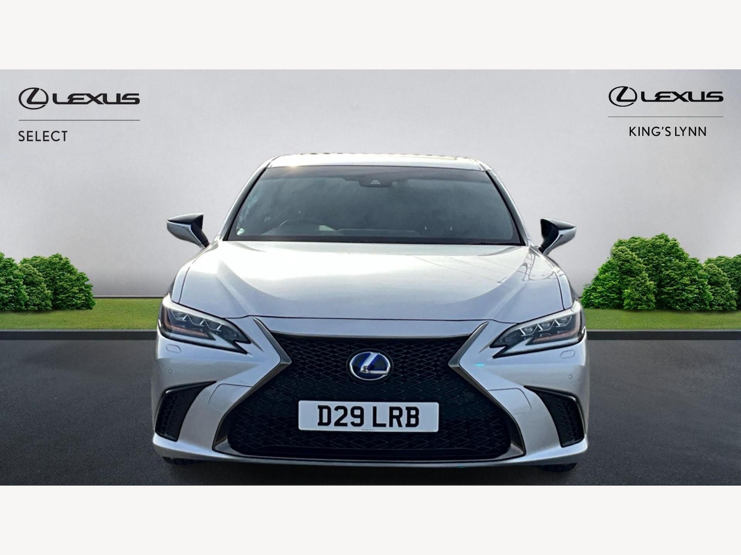 Used Lexus ES for sale - 77559656: Photo 6