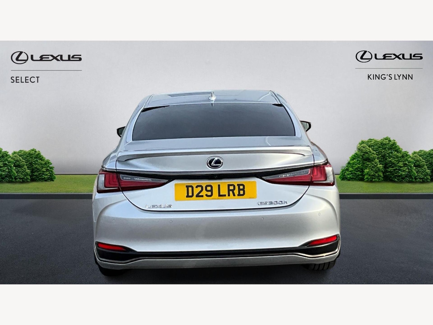 Used Lexus ES for sale - 77559656: Photo 7