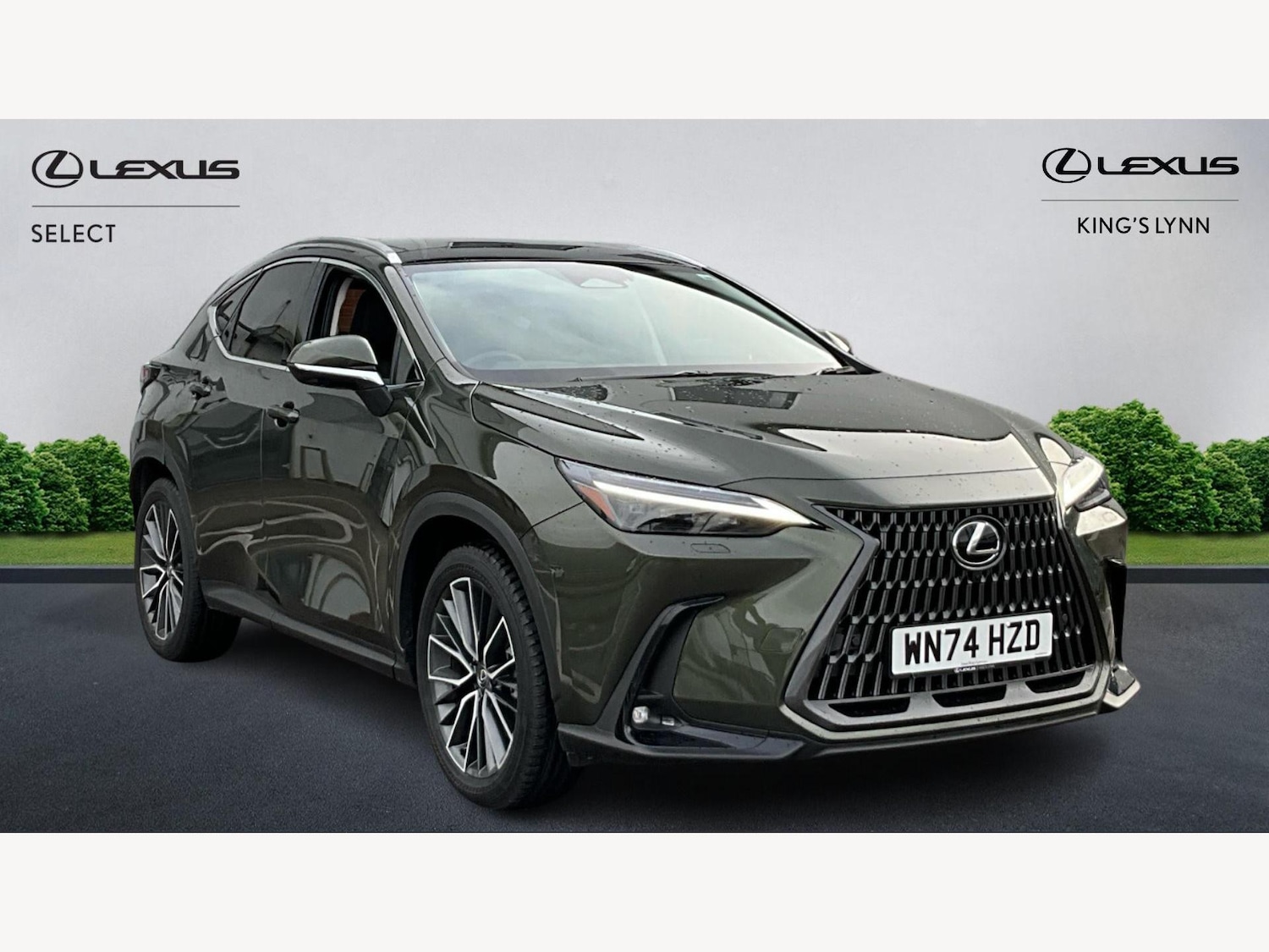 Used Lexus NX 2025 for sale - 77343903: Photo 1