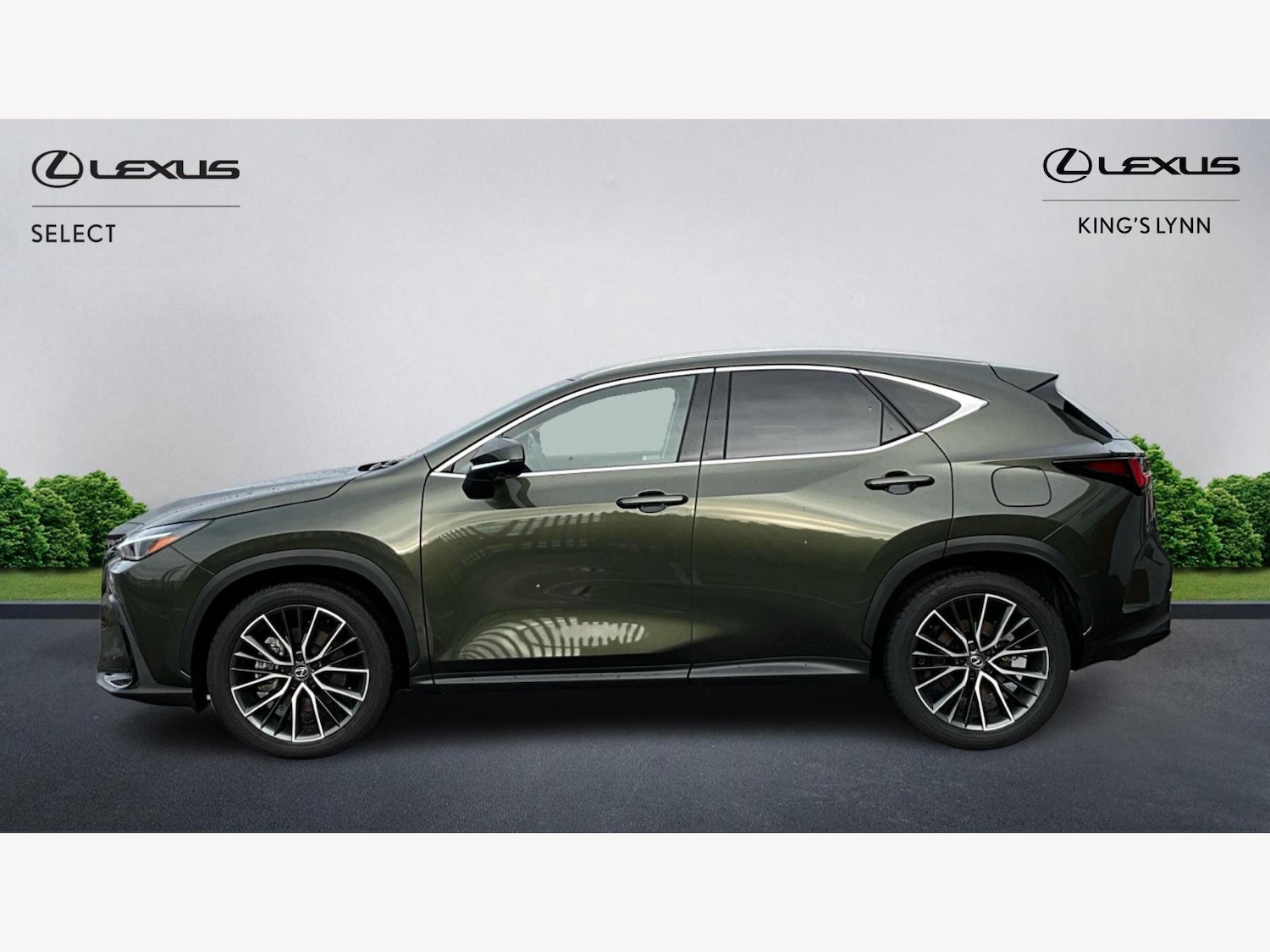 Used Lexus NX 2025 for sale - 77343903: Photo 3