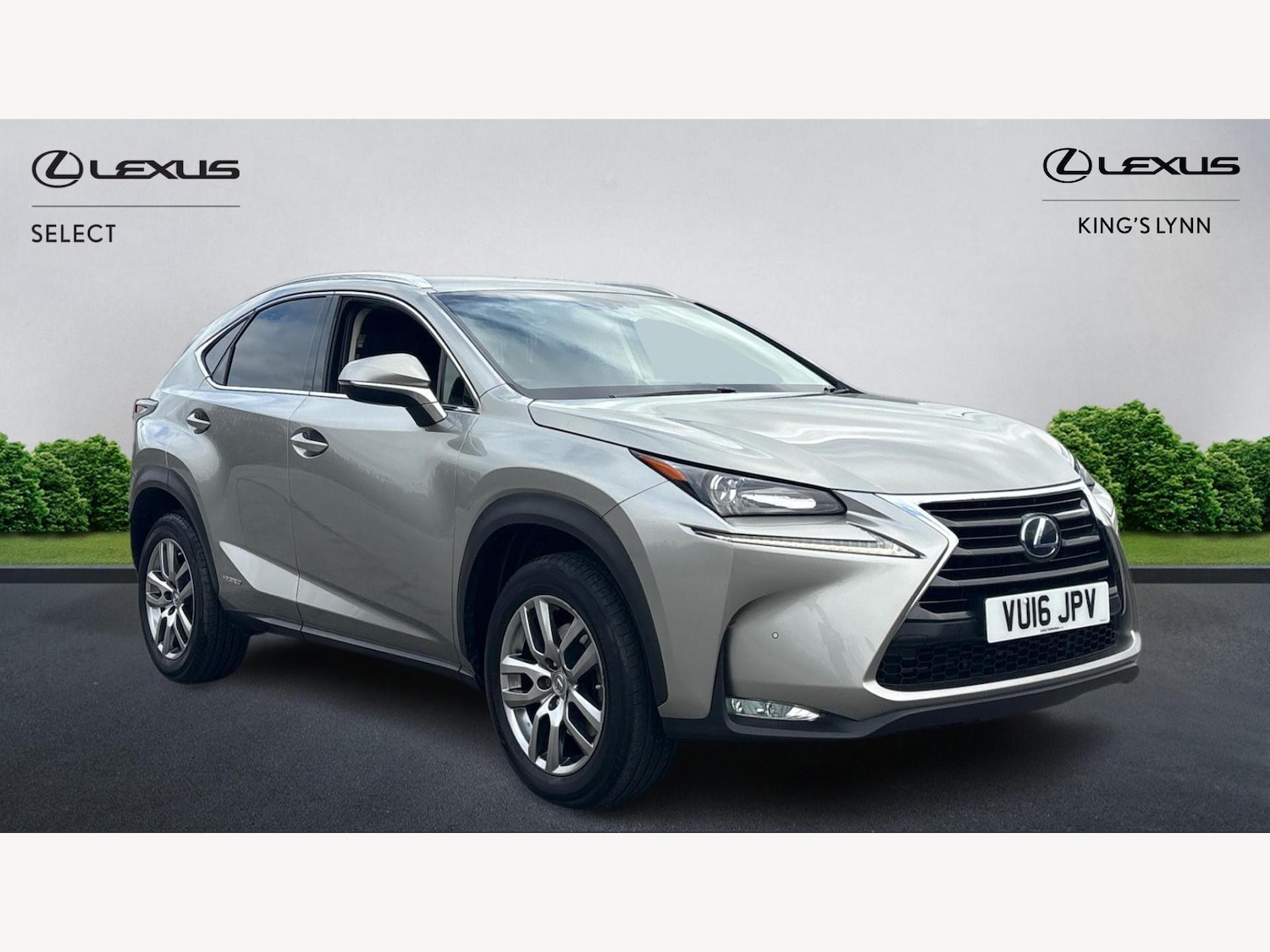 Used Lexus NX 2016 for sale - 76175114: Photo 1