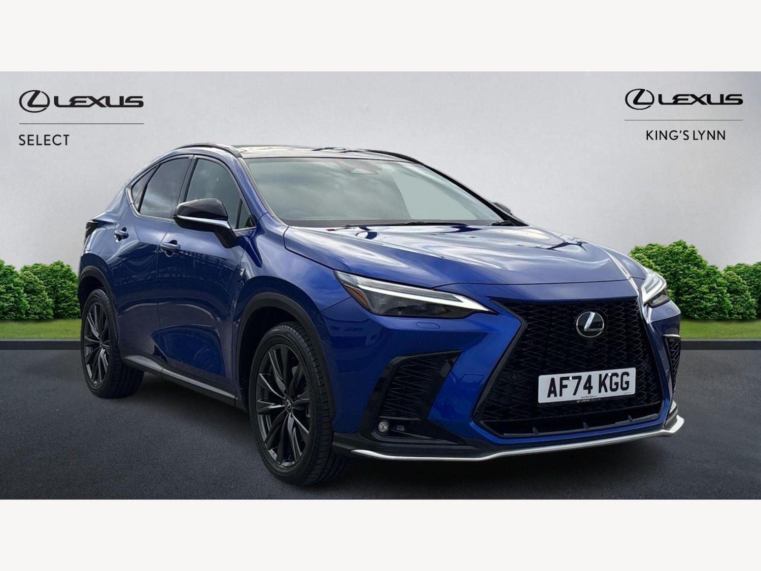 Used Lexus NX 2024 for sale - 76573218: Photo 1