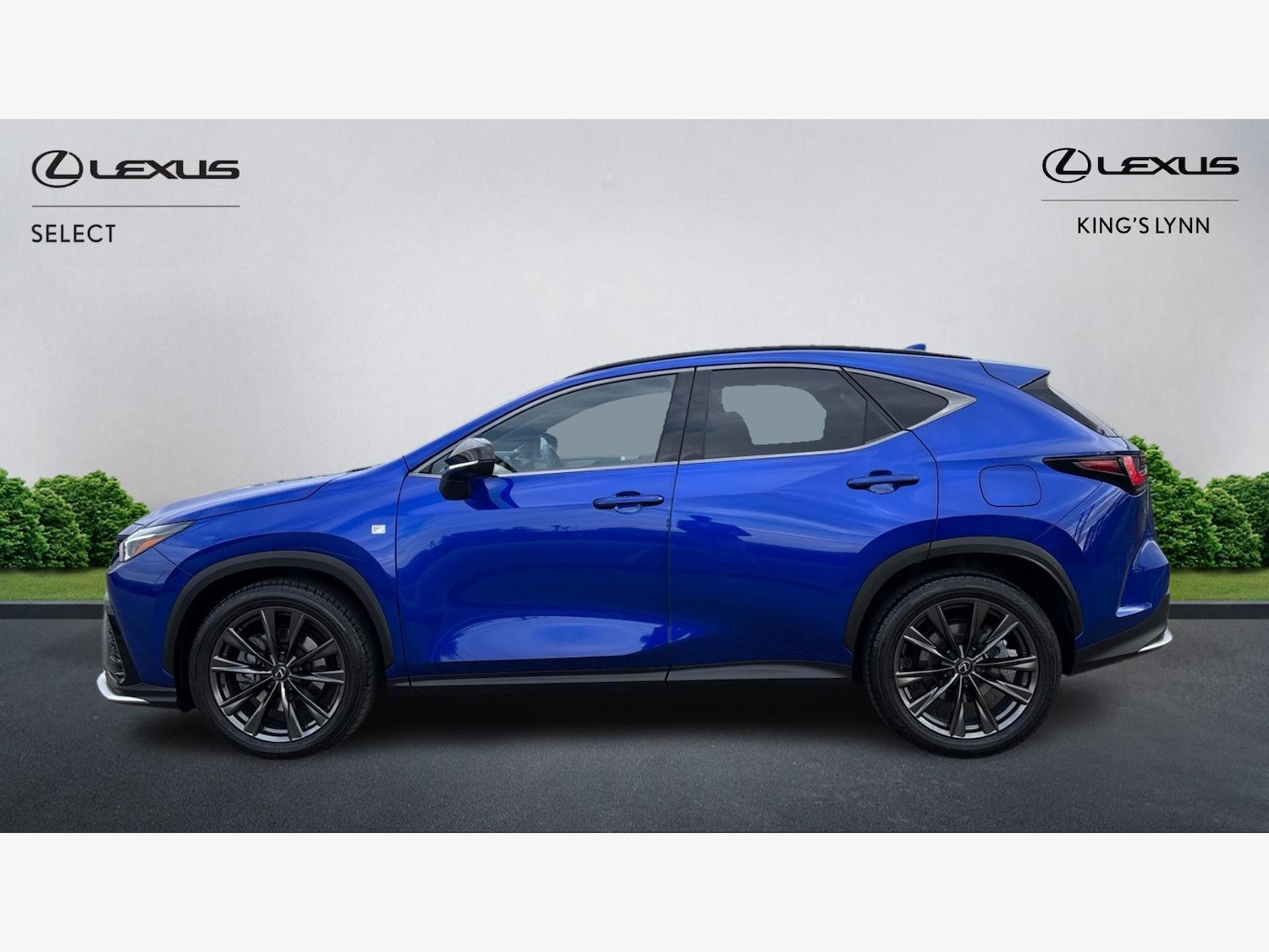 Used Lexus NX 2024 for sale - 76573218: Photo 3