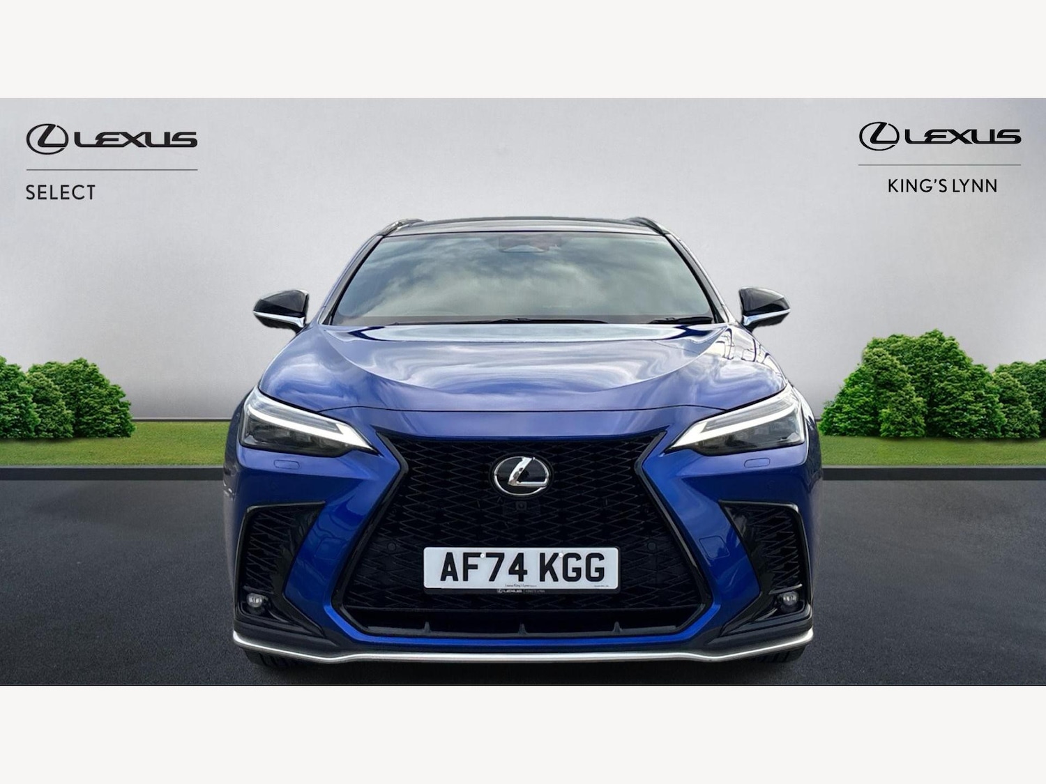 Used Lexus NX 2024 for sale - 76573218: Photo 6