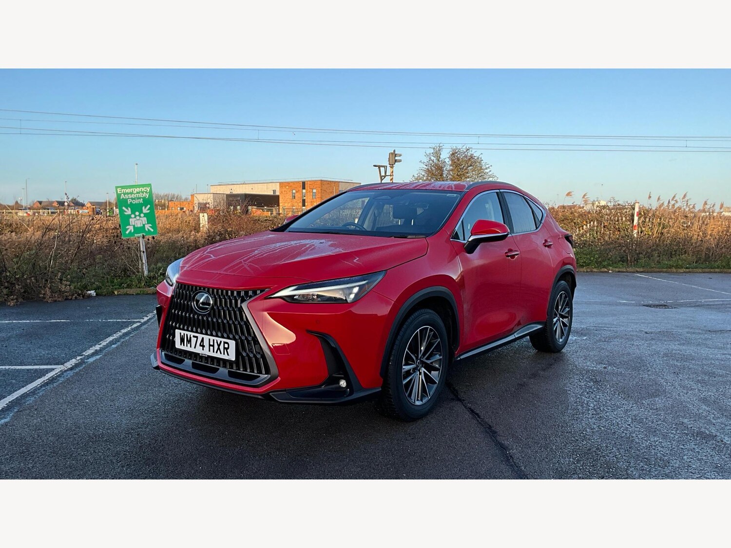 Used Lexus NX 2024 for sale - 77524296: Photo 19