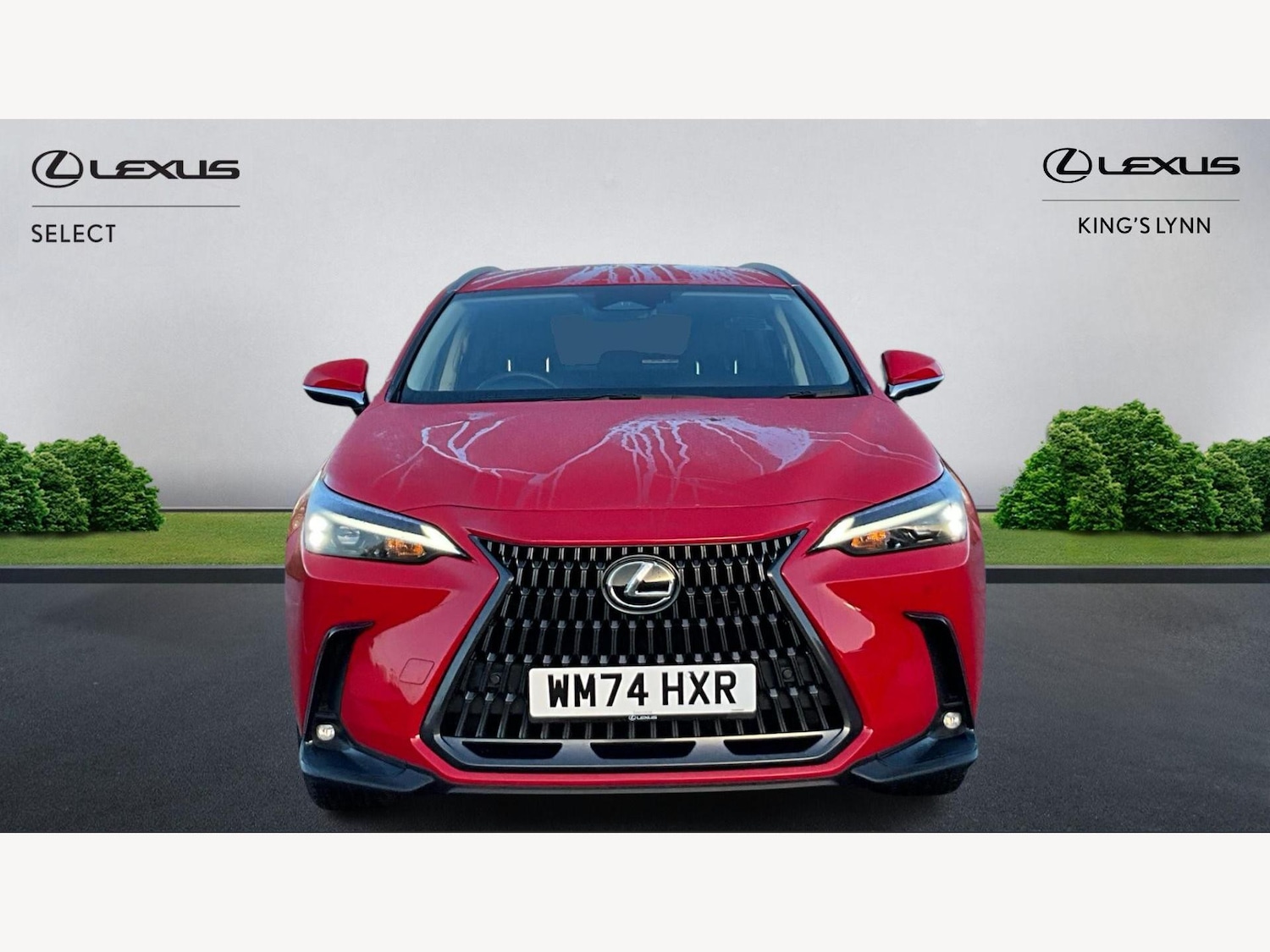 Used Lexus NX 2024 for sale - 77524296: Photo 6