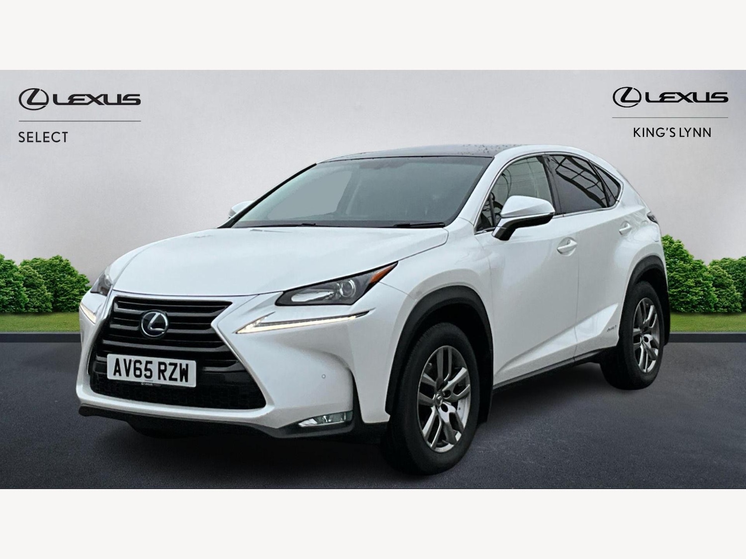 Used Lexus NX 2016 for sale - 77060261: Photo 1