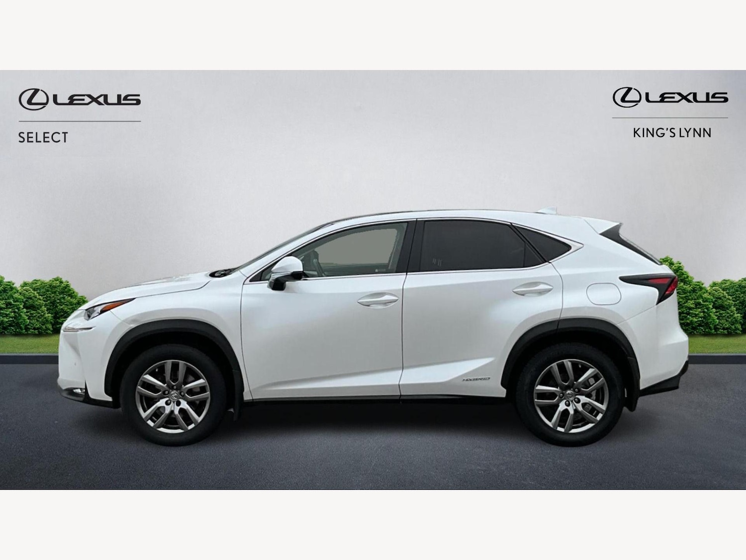Used Lexus NX 2016 for sale - 77060261: Photo 3