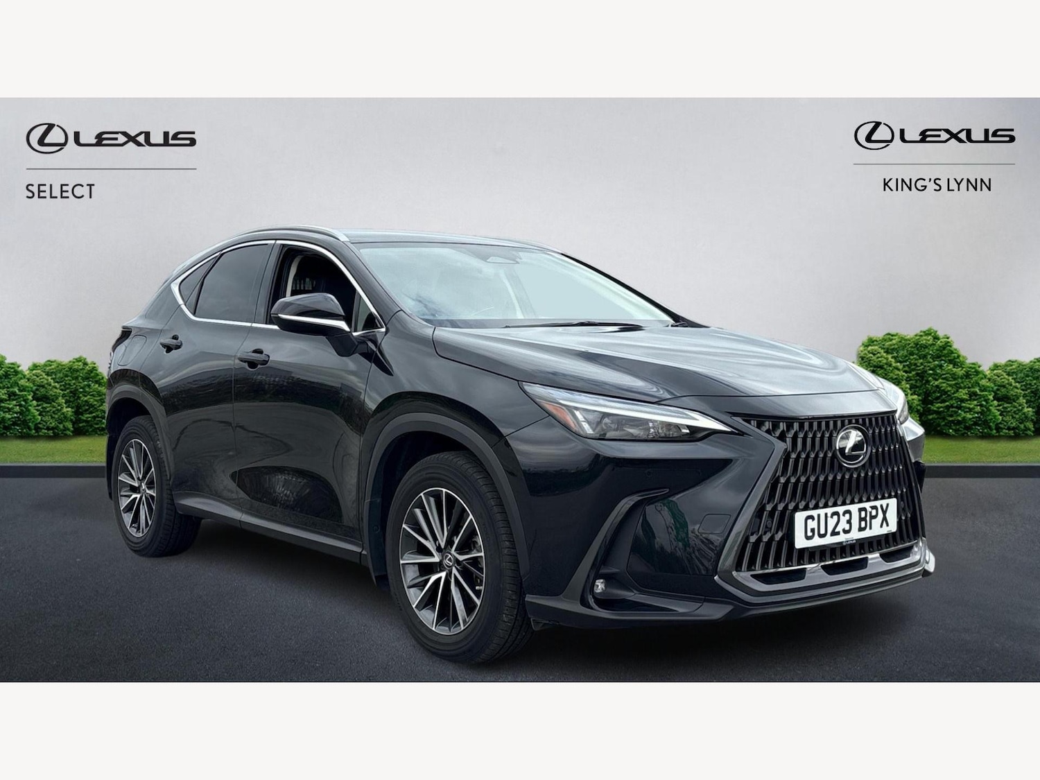 Used Lexus NX 2023 for sale - 76689366: Photo 1
