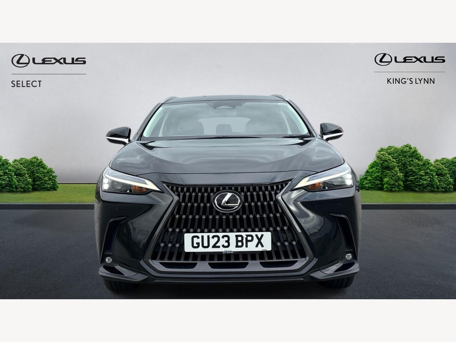 Used Lexus NX 2023 for sale - 76689366: Photo 6