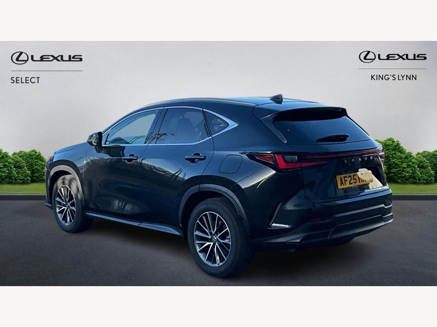 Used Lexus NX 2025 for sale - 76976272: Photo 2