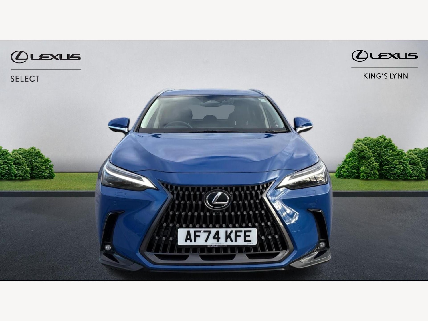 Used Lexus NX 2024 for sale - 77097702: Photo 6