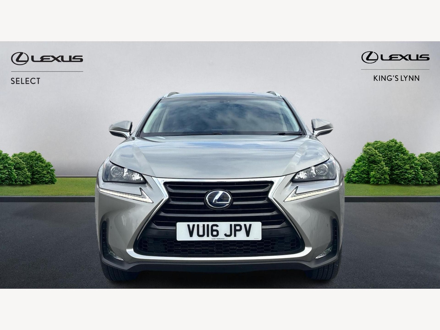 Used Lexus NX 2016 for sale - 77057231: Photo 6