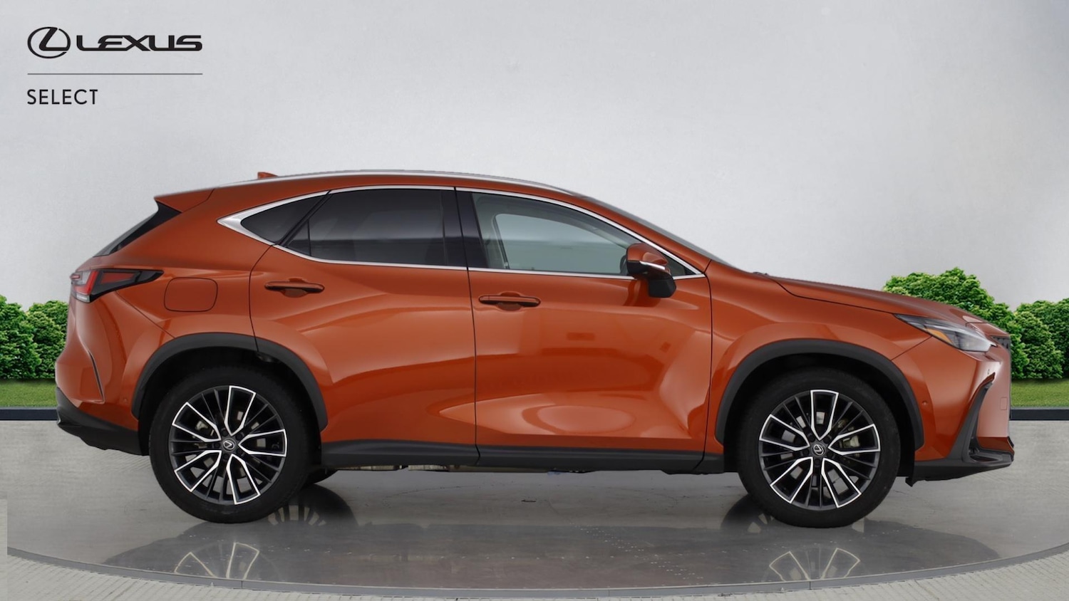 Used Lexus NX 2024 for sale - 76886823: Photo 16