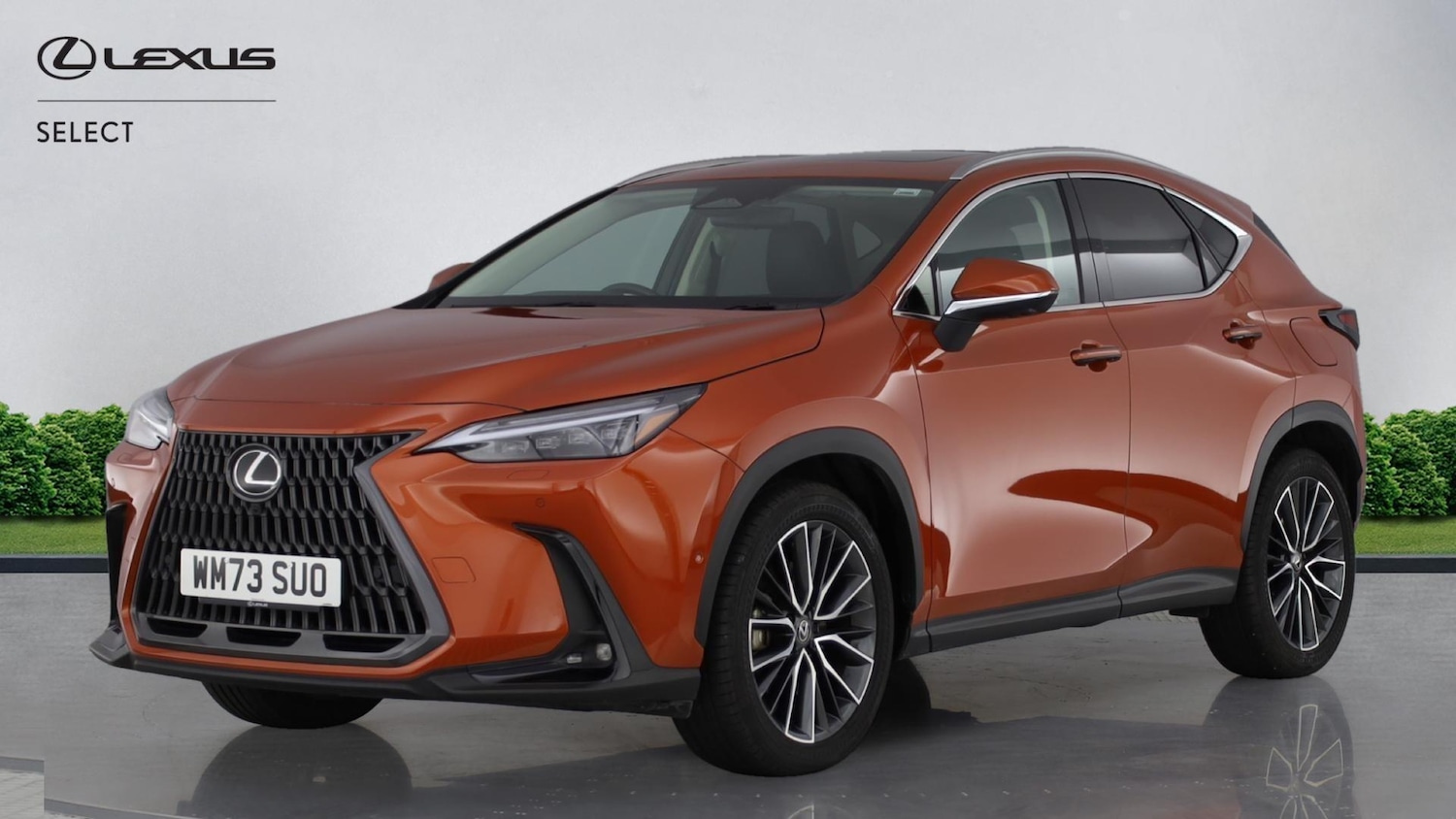 Used Lexus NX 2024 for sale - 76886823: Photo 17