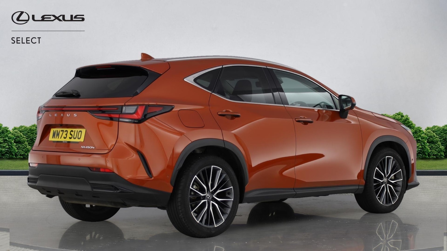 Used Lexus NX 2024 for sale - 76886823: Photo 18