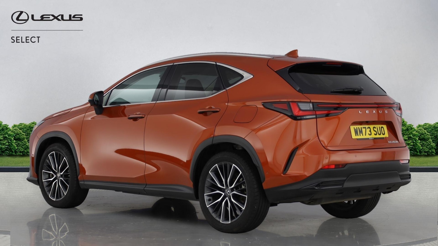 Used Lexus NX 2024 for sale - 76886823: Photo 2