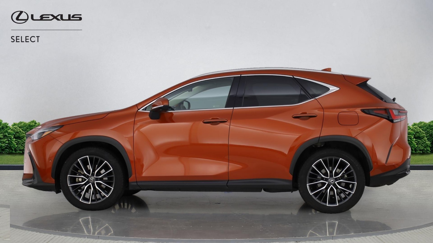 Used Lexus NX 2024 for sale - 76886823: Photo 3