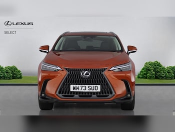 Used Lexus NX 2024 for sale - 76886823: Photo