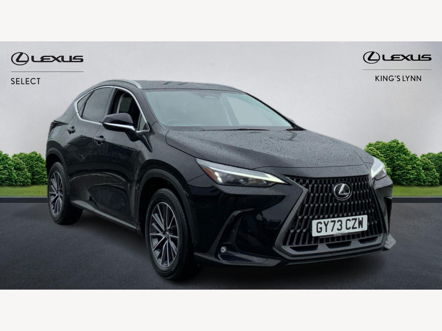 Used Lexus NX 2023 for sale - 76592107: Photo 1