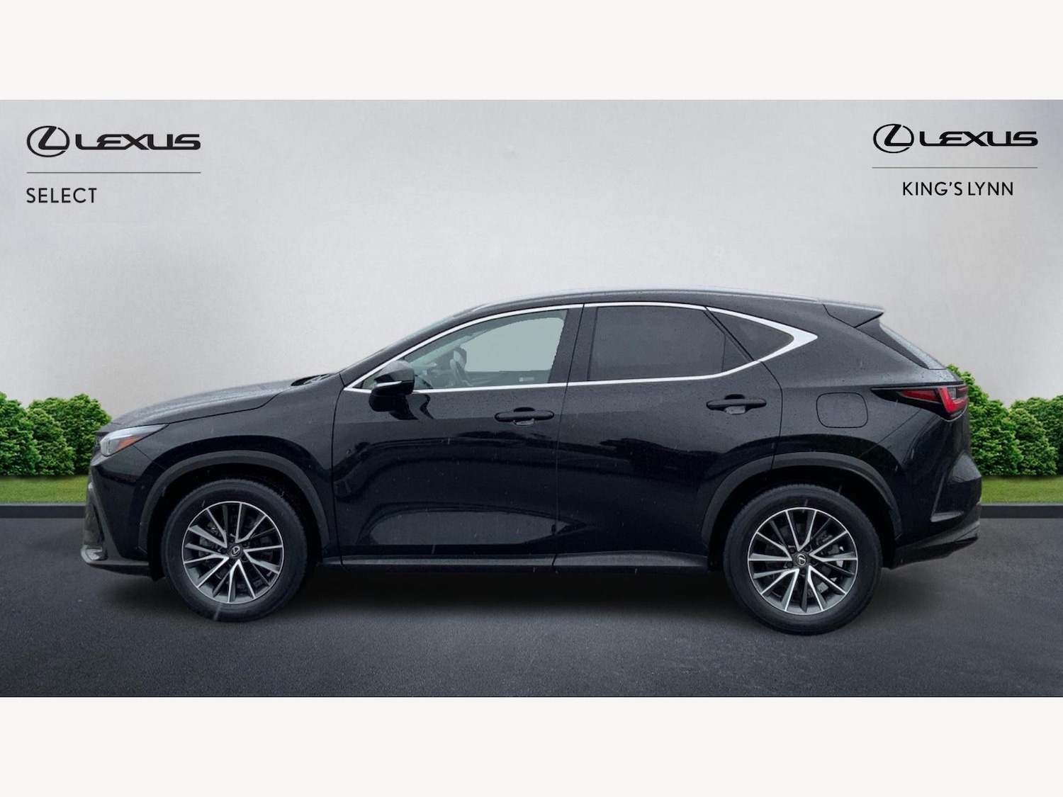 Used Lexus NX 2023 for sale - 76592107: Photo 3
