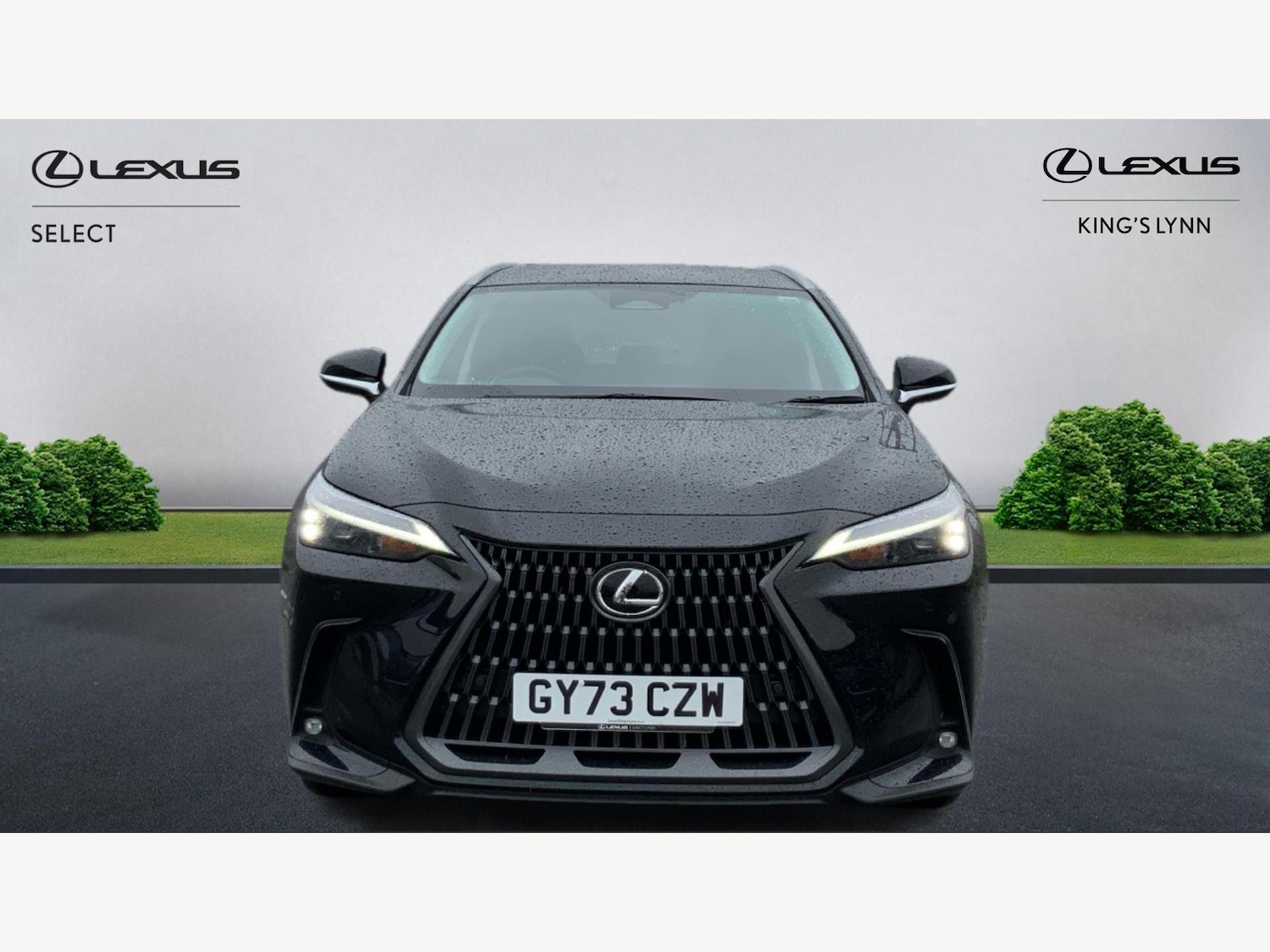 Used Lexus NX 2023 for sale - 76592107: Photo 6