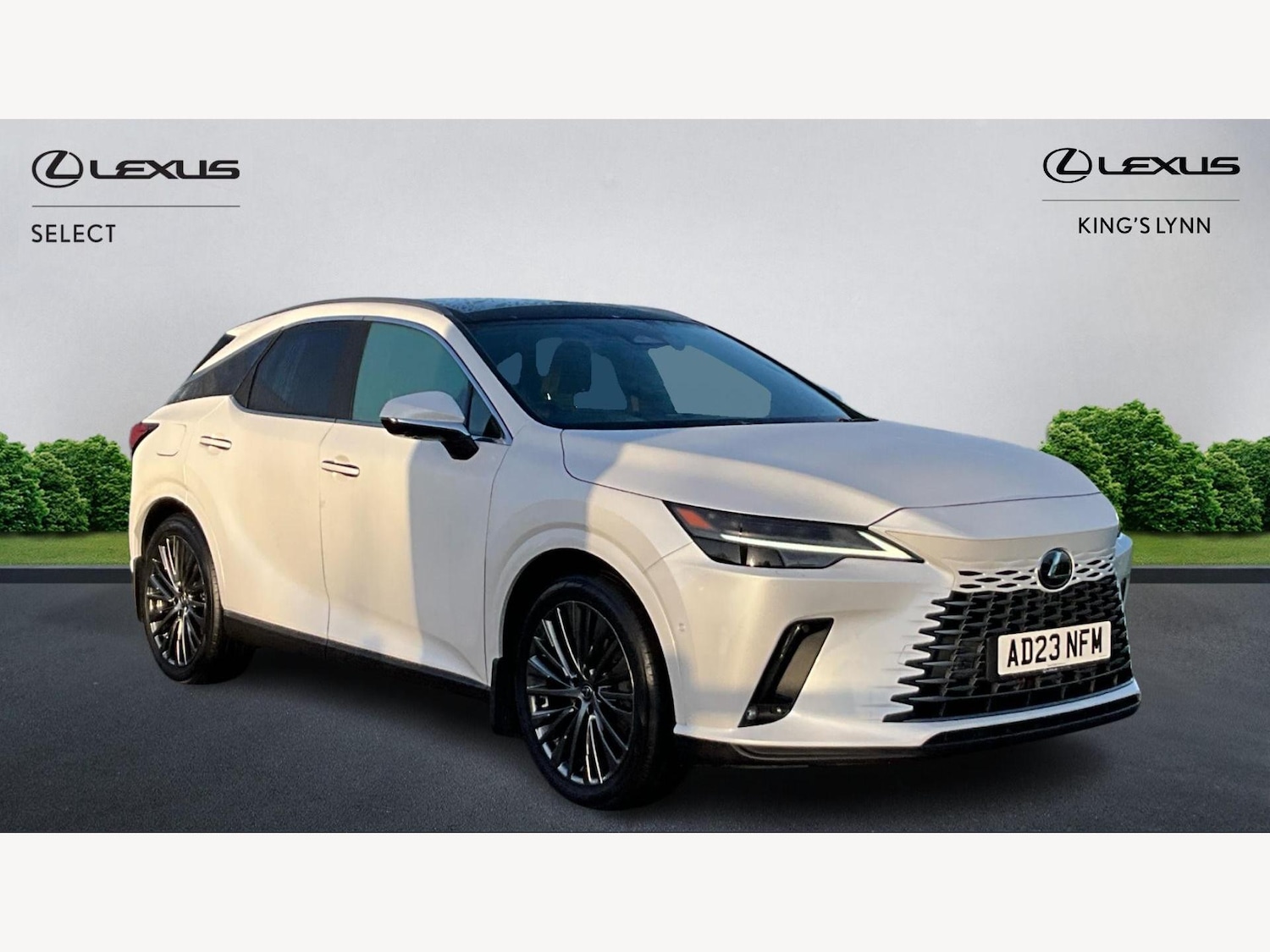 Used Lexus RX 2023 for sale - 76865167: Photo 1