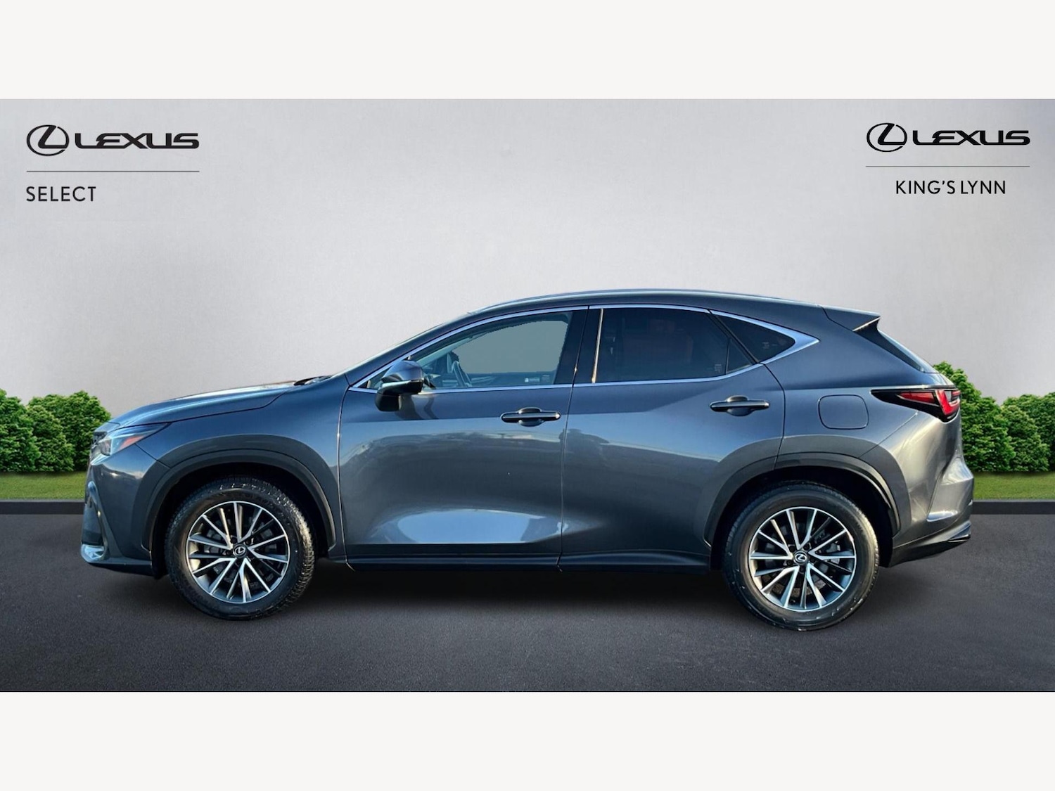 Used Lexus NX 2023 for sale - 77574382: Photo 3