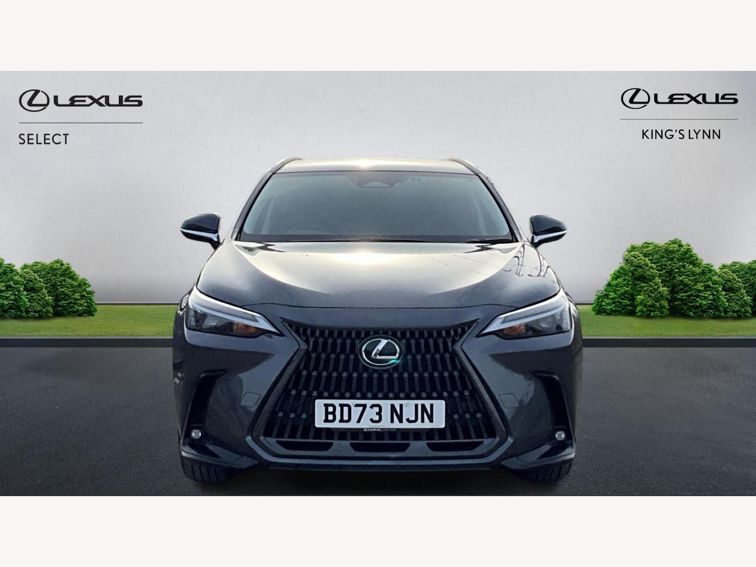 Used Lexus NX 2023 for sale - 77574382: Photo 6
