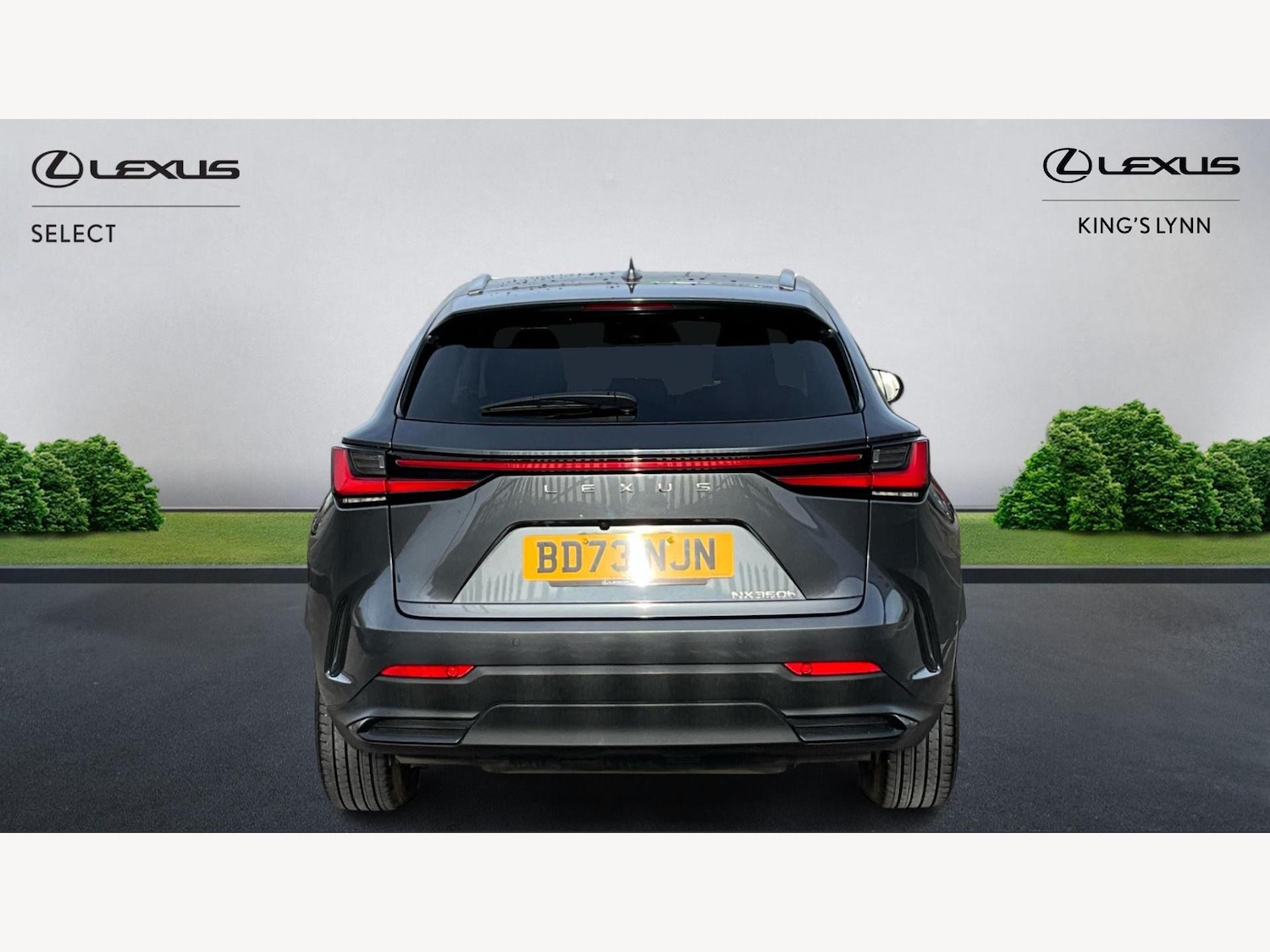 Used Lexus NX 2023 for sale - 77574382: Photo 7