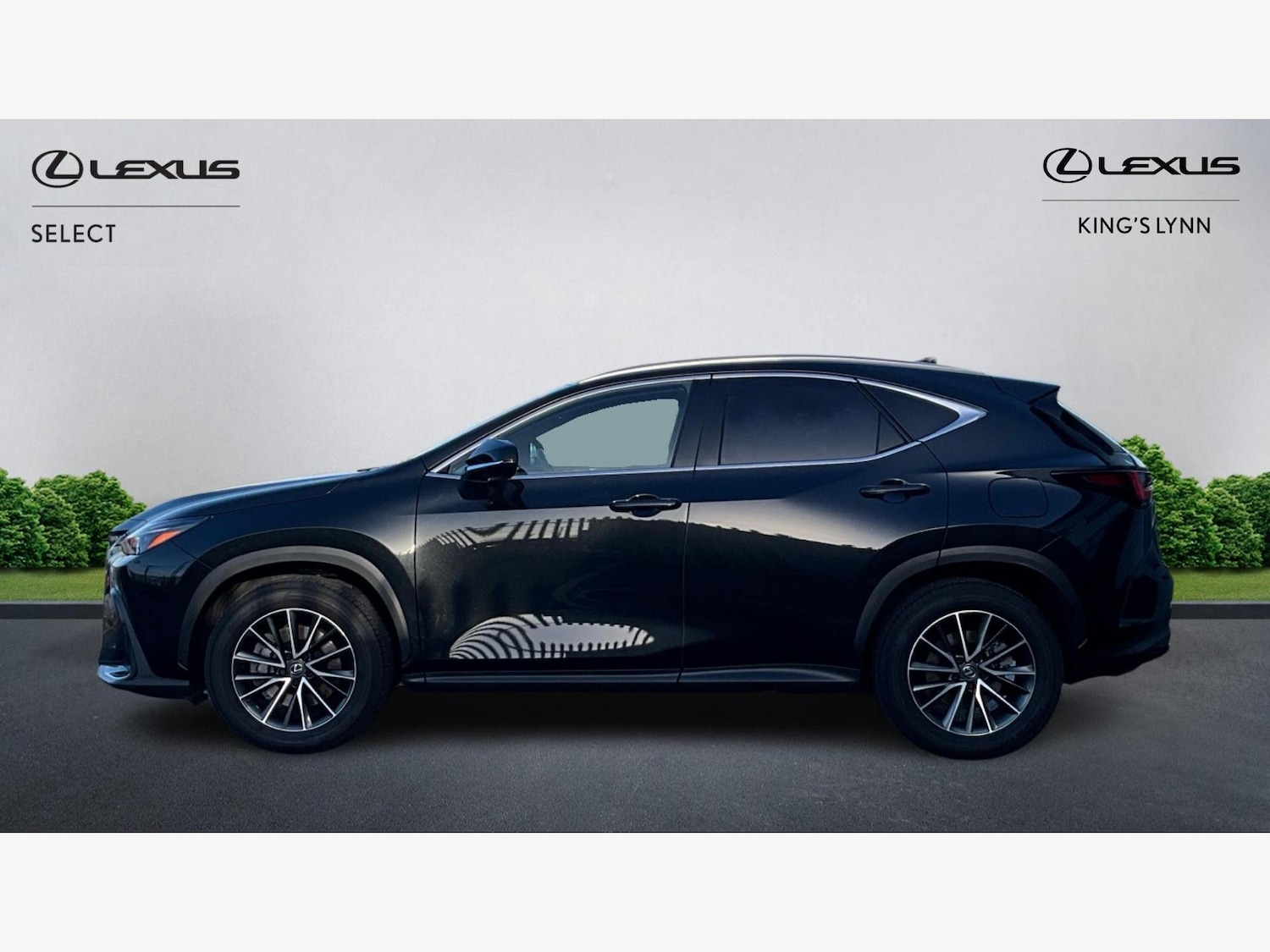 Used Lexus NX 2025 for sale - 77574671: Photo 3