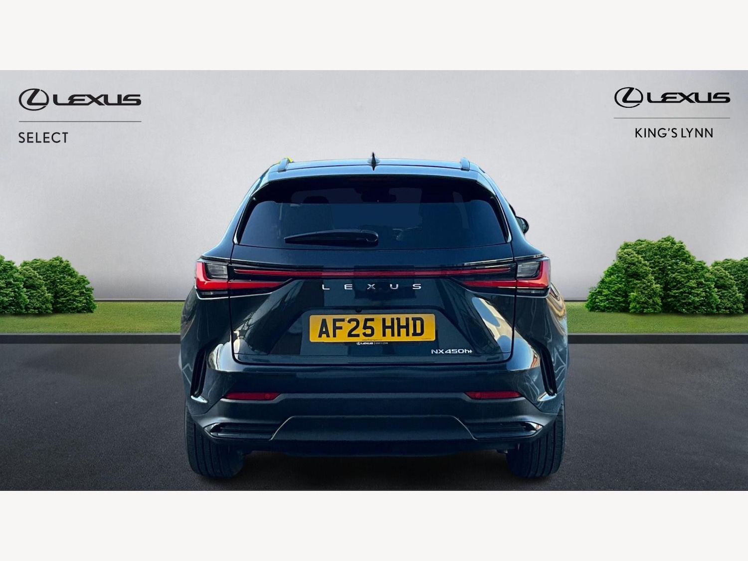 Used Lexus NX 2025 for sale - 77574671: Photo 7